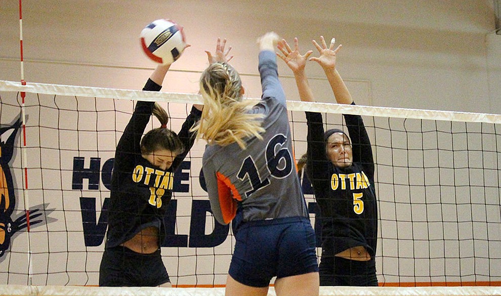 Volleyball loses two in doubleheader