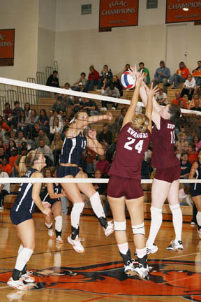 Wildcats volleyball team falters in HAAC final