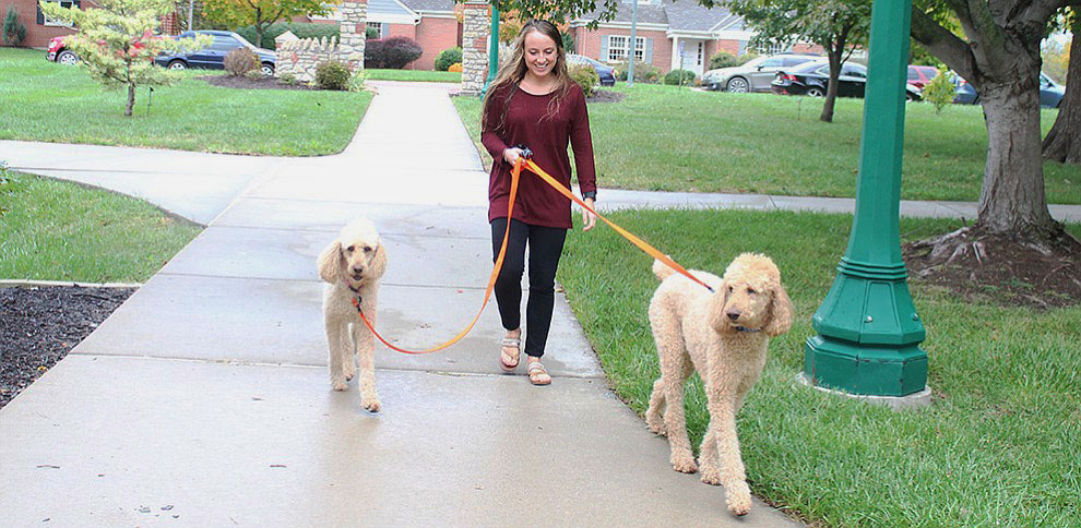 Junior Madeline McCrary takes President Lynne Murrays dogs on a walk through campus on Oct. 10. Image by Shelby Stephens.