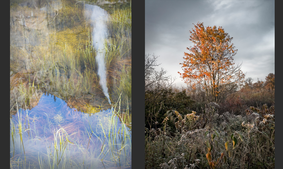Eleven different artists are featured in this months Holt-Russell Gallery showing, which displays the abstract beauty of wetlands throughout the United States. The image on the left is by Betsy Litton and the image on the right is by Eric Rennie.