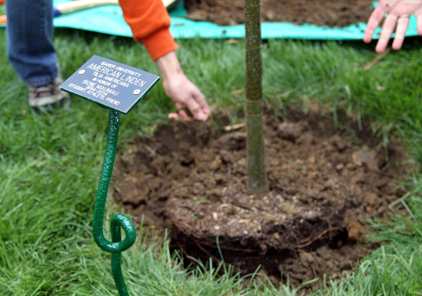 Memorial tree planting unites campus