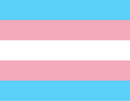 The light blue, light pink and white flag represents being transgender. 