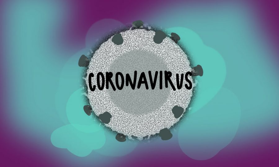 Coronavirus takes world by storm