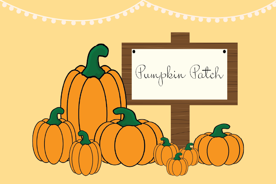 Four of the best local pumpkin patches