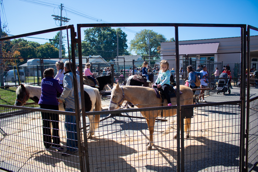 Ponies, camels, goats and more were a huge hit among the many children at the festival.