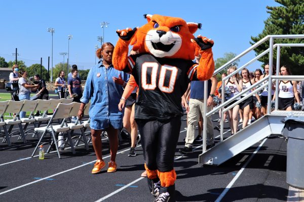 Wowzer the Wildcat arrives at Liston stadium for Convocation.