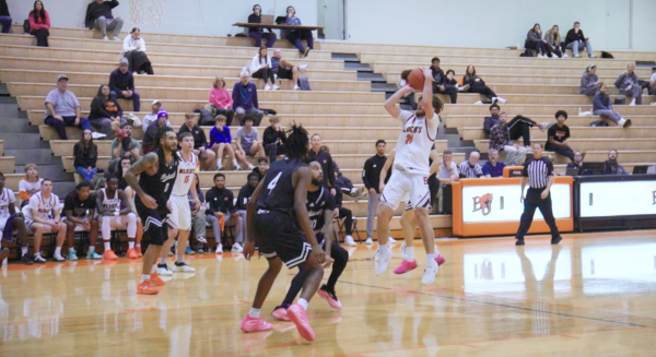 The season at a glance: Wildcat basketball recap