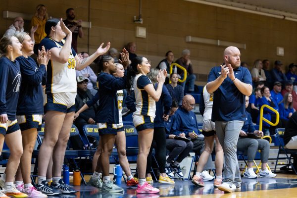 Coach Andy Kelley with in game with the Spires